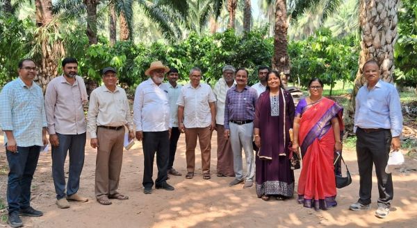 ఏలూరు జిల్లాలో కోకో నర్సరీల అభివృద్ధి, అధిక దిగుబడి సాధన కోసం ప్రత్యేక పరిశీలన కార్యక్రమం..