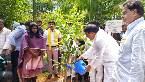ఏలూరు కలెక్టరేట్‌లో ఘనంగా ప్రపంచ పర్యావరణ దినోత్సవం: హరిత వాతావరణం కోసం పిలుపునిచ్చిన ప్రజాప్రతినిధులు